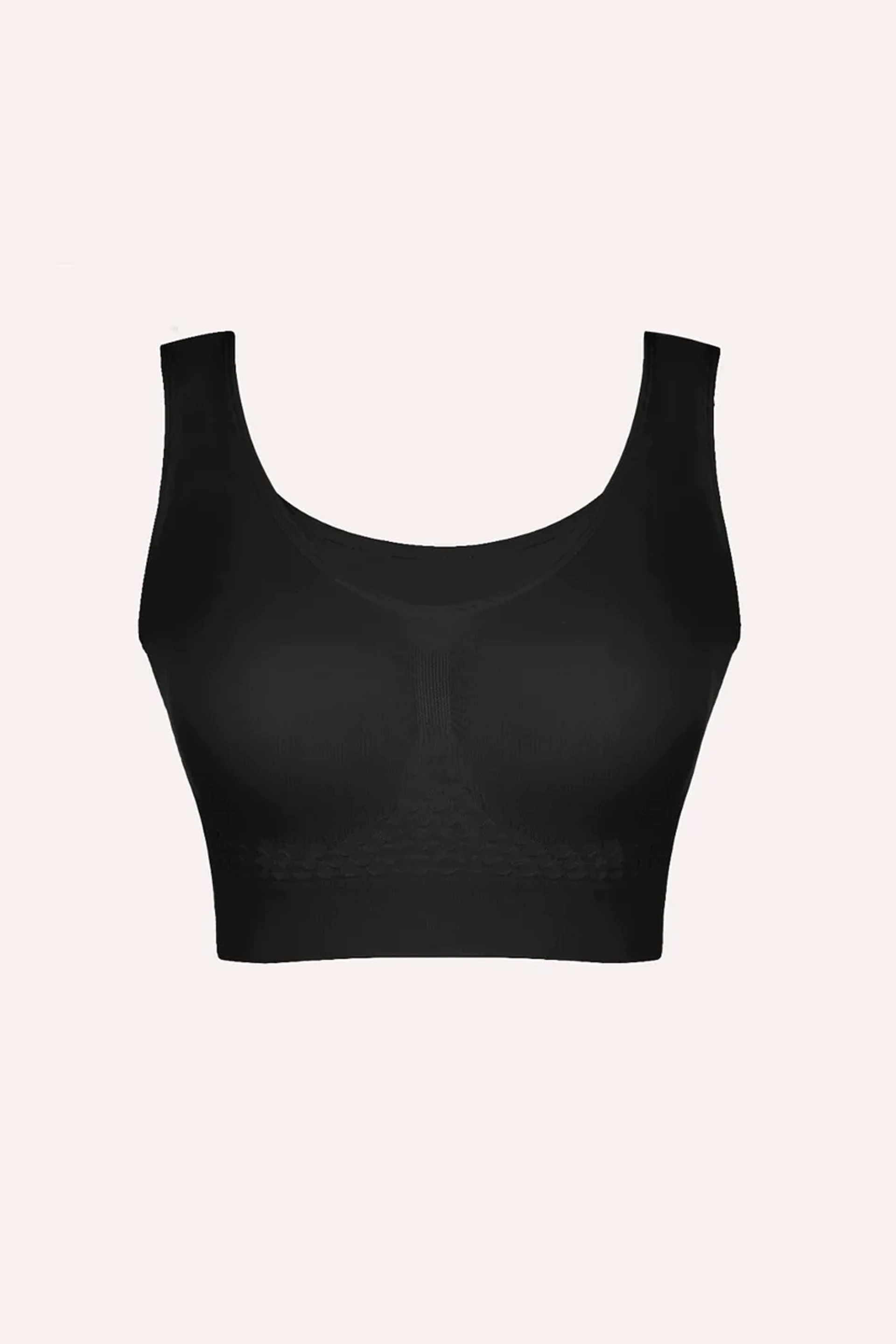 Absolute Bra  Buy Stretchable Mesh, Non padded Seamless Bra