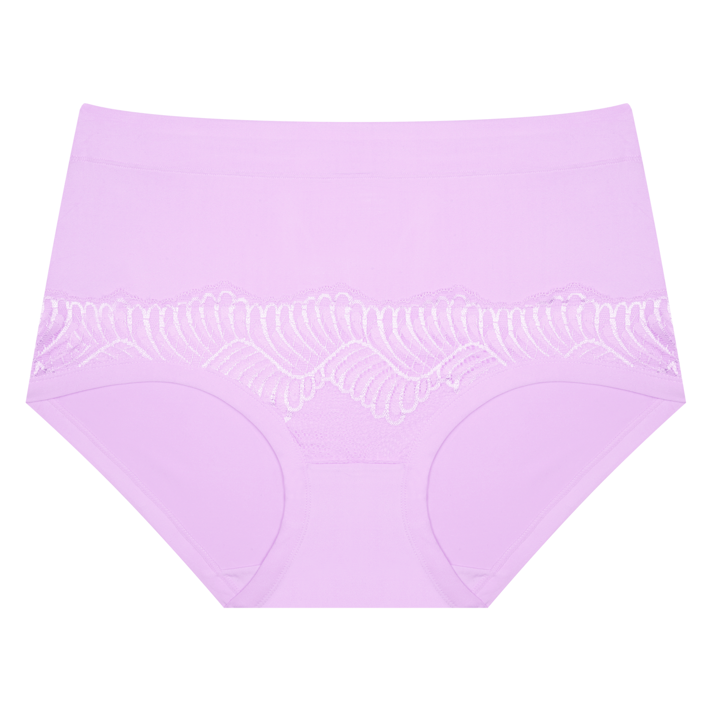 modern brief panties