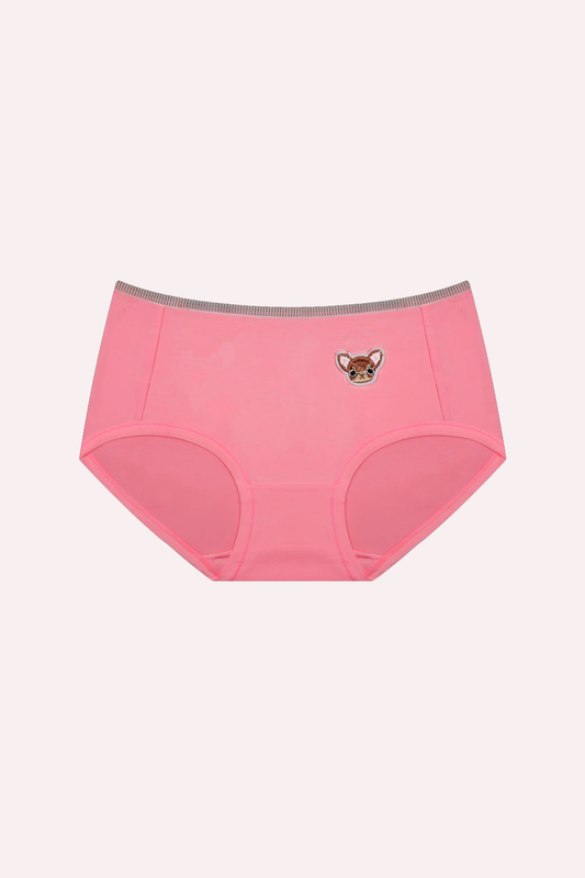 Panties for Ladies Online Shopping