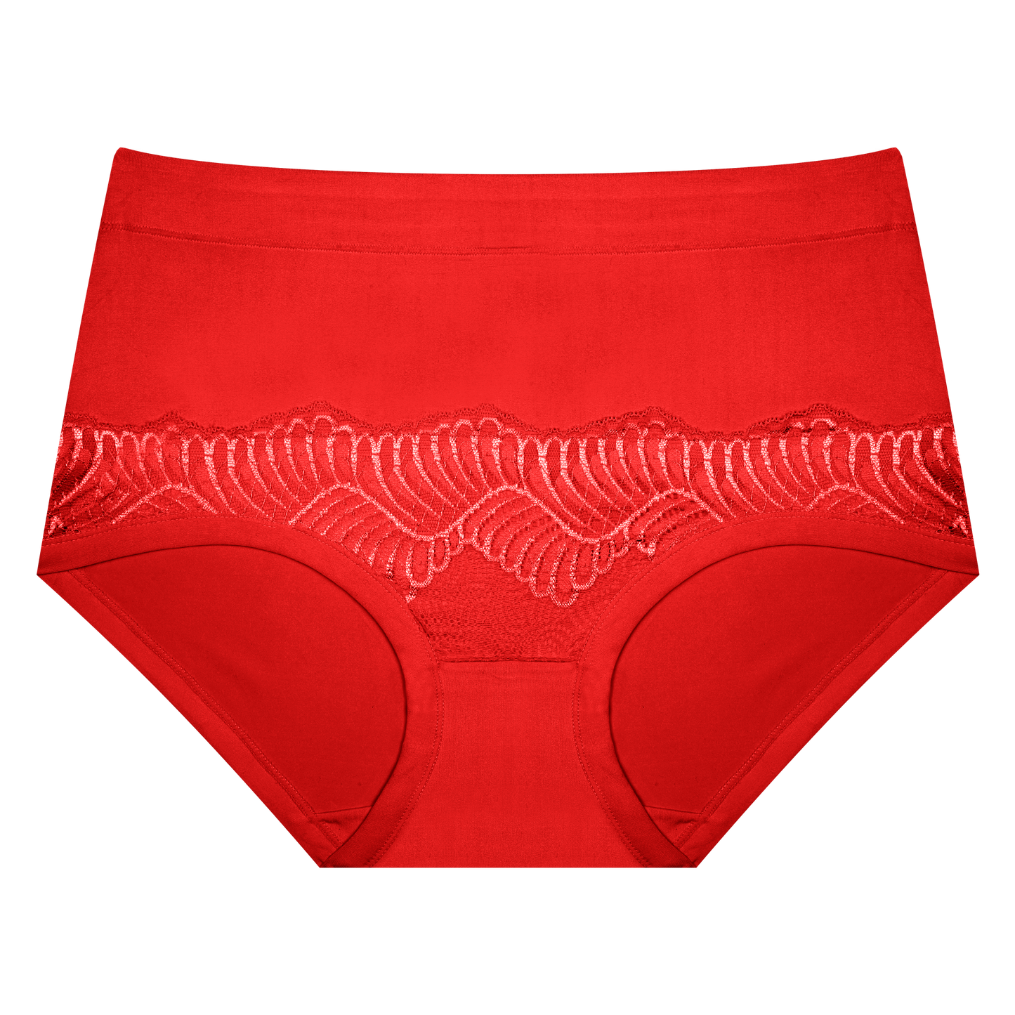 plus size brief panties